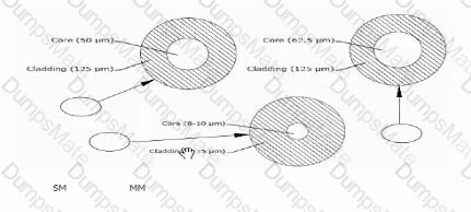 RCDDv14.1 Question 7