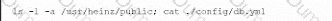 CAS-004 Question 25
