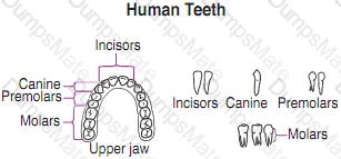 GED-Science Question 31
