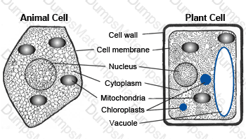 GED-Science Question 37