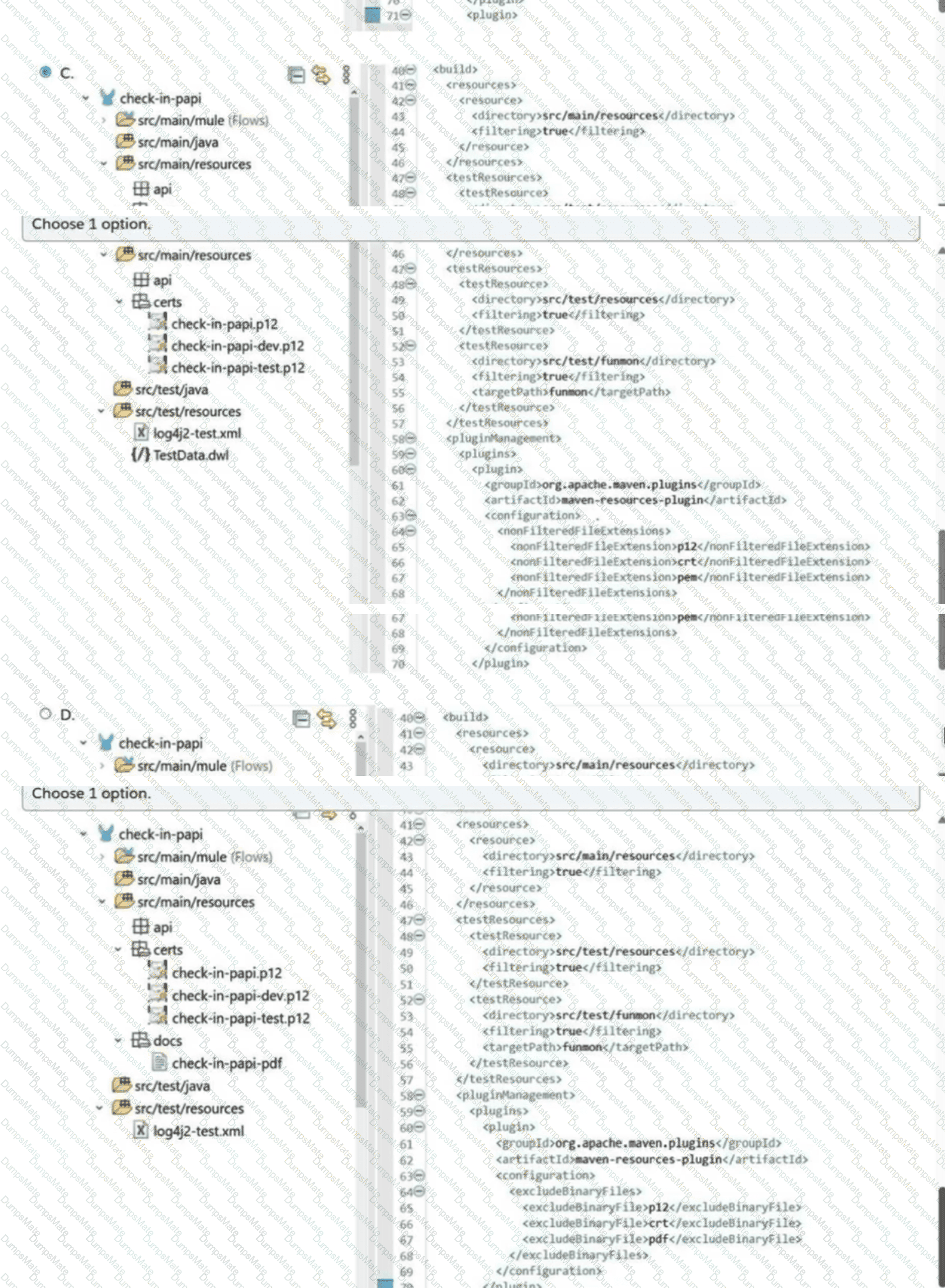 Mule-Dev-301 Question 14