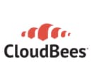 CloudBees Dumps Exams